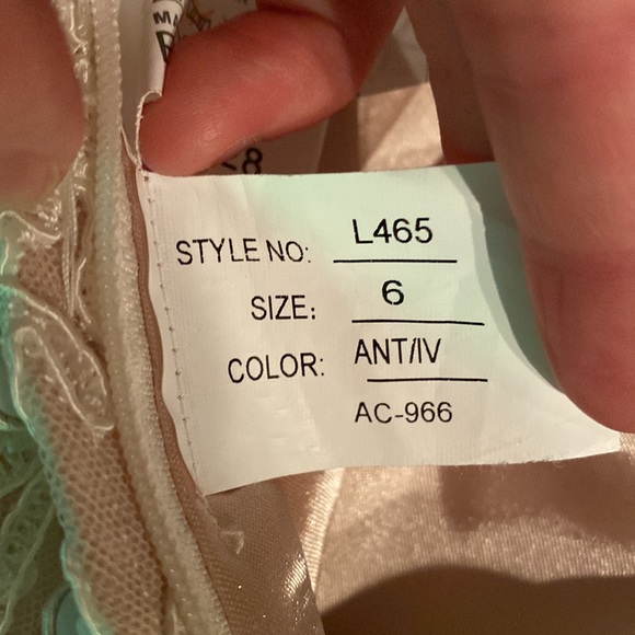 Beautiful wedding dress, champagne underneath with lace and sparkle overlay. - Picture 10 of 12